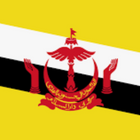 Brunei eSIM