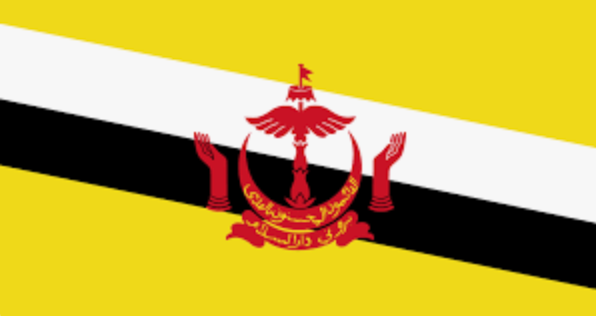 Brunei eSIM